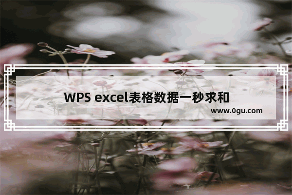 WPS excel表格数据一秒求和