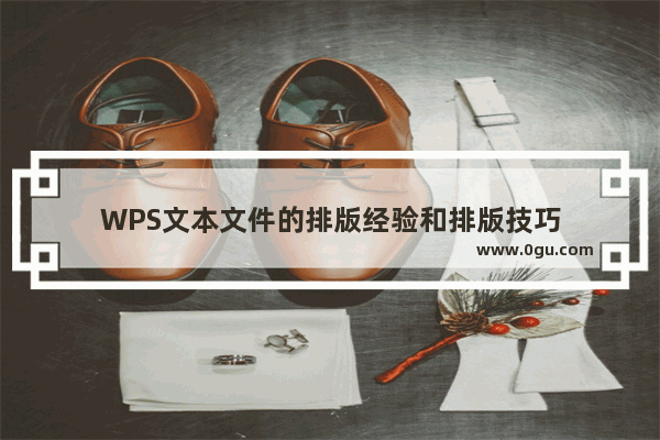 WPS文本文件的排版经验和排版技巧