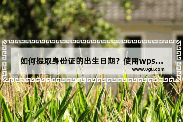 如何提取身份证的出生日期？使用wps表格轻松搞定！