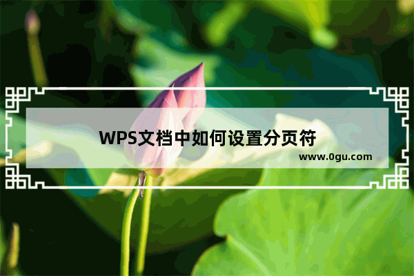 WPS文档中如何设置分页符