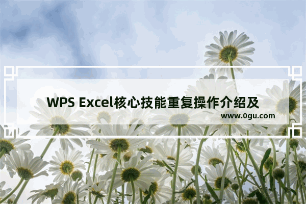 WPS Excel核心技能重复操作介绍及表格标题问题