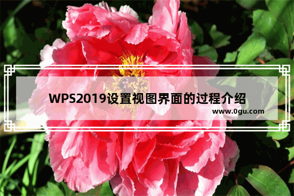 WPS2019设置视图界面的过程介绍