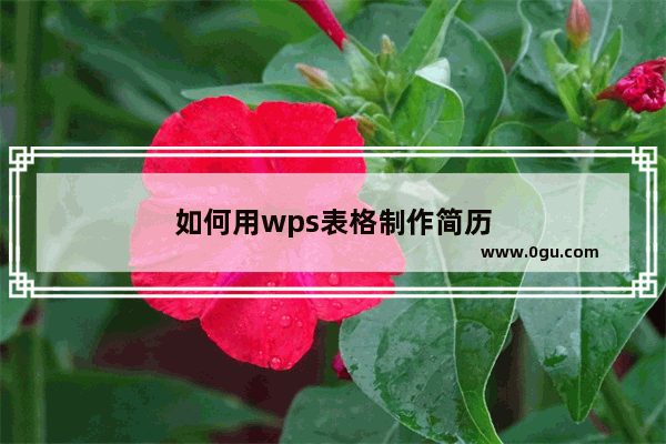 如何用wps表格制作简历