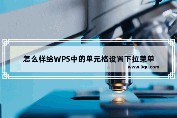 怎么样给WPS中的单元格设置下拉菜单