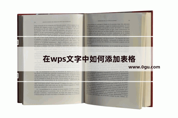 在wps文字中如何添加表格