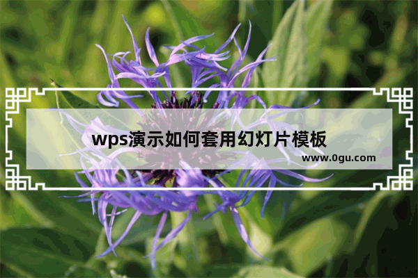 wps演示如何套用幻灯片模板