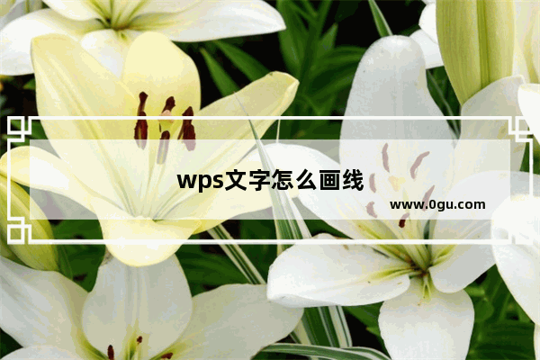 wps文字怎么画线