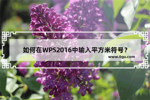 如何在WPS2016中输入平方米符号？