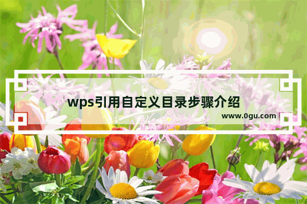 wps引用自定义目录步骤介绍