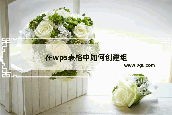 在wps表格中如何创建组