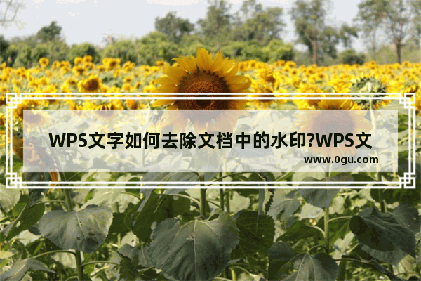 WPS文字如何去除文档中的水印?WPS文字去除文档水印的方法教程