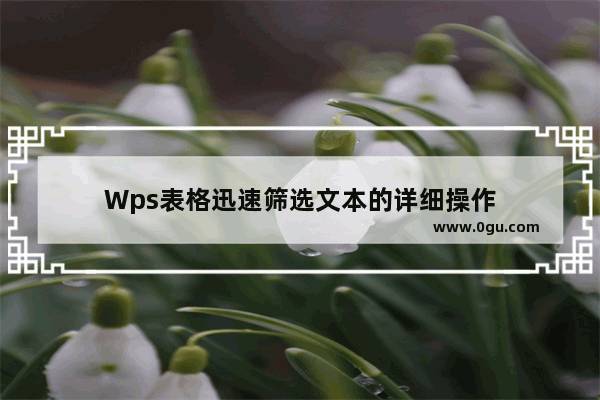 Wps表格迅速筛选文本的详细操作