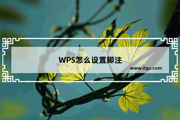 WPS怎么设置脚注