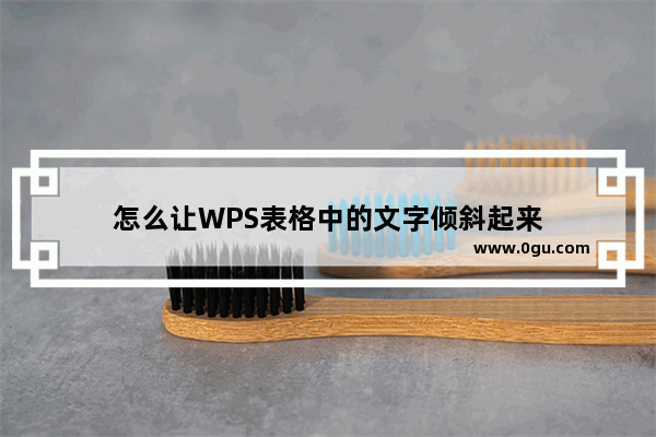 怎么让WPS表格中的文字倾斜起来