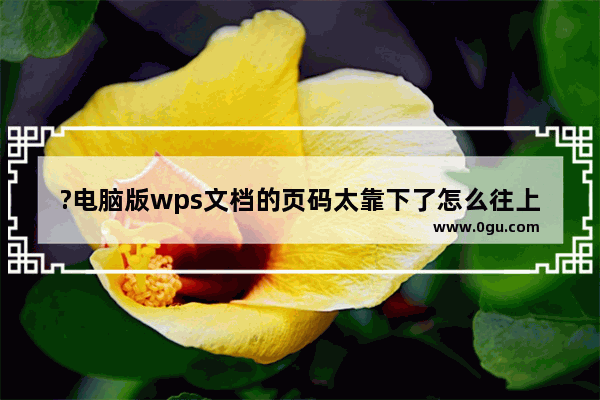 ?电脑版wps文档的页码太靠下了怎么往上调整