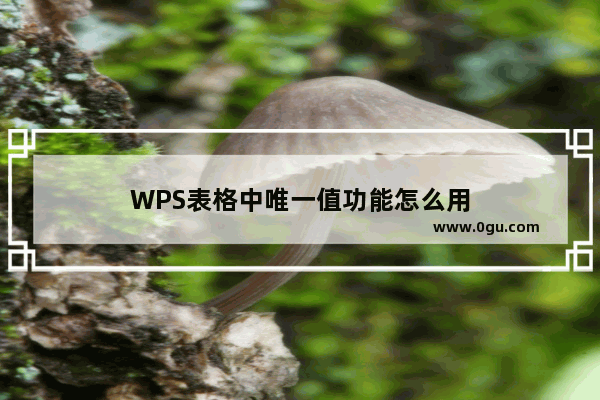 WPS表格中唯一值功能怎么用