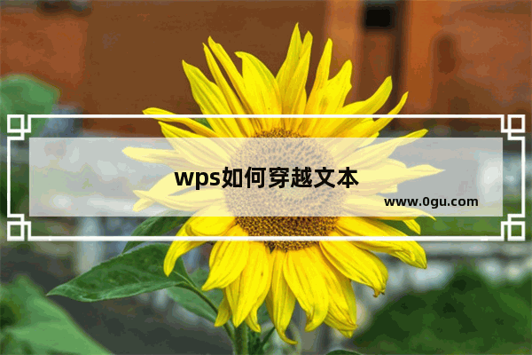 wps如何穿越文本