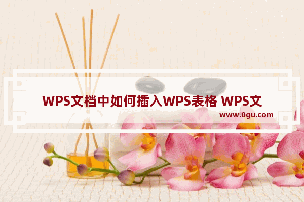 WPS文档中如何插入WPS表格 WPS文档中插入WPS表格方法