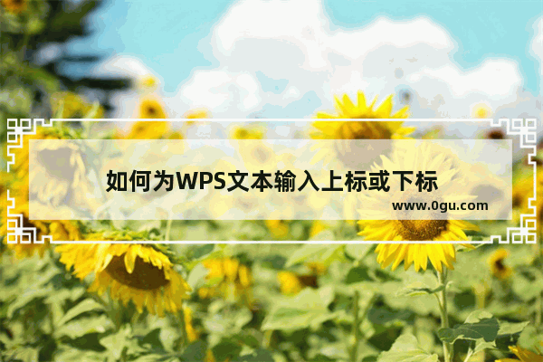 如何为WPS文本输入上标或下标