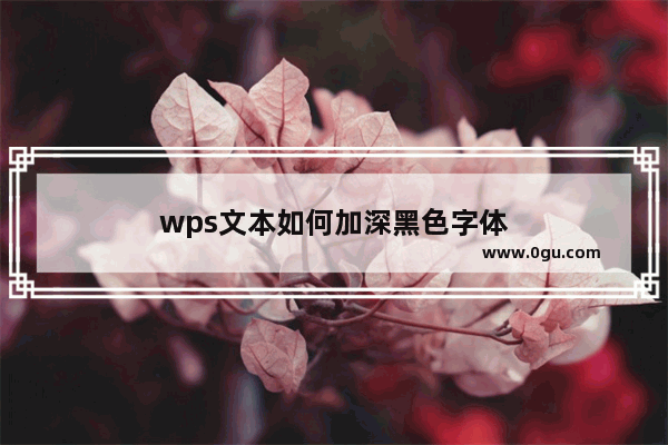 wps文本如何加深黑色字体