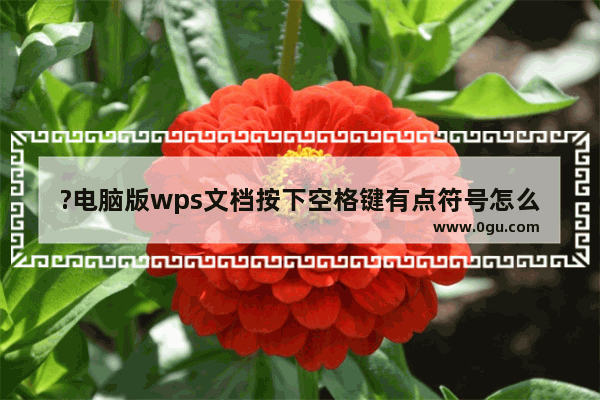 ?电脑版wps文档按下空格键有点符号怎么办