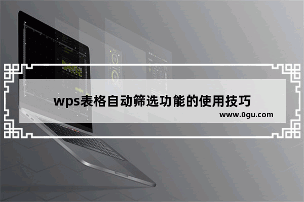 wps表格自动筛选功能的使用技巧