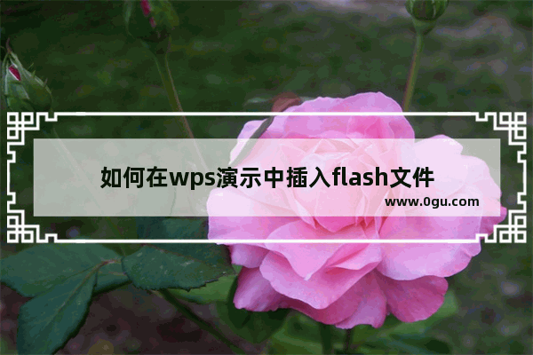 如何在wps演示中插入flash文件