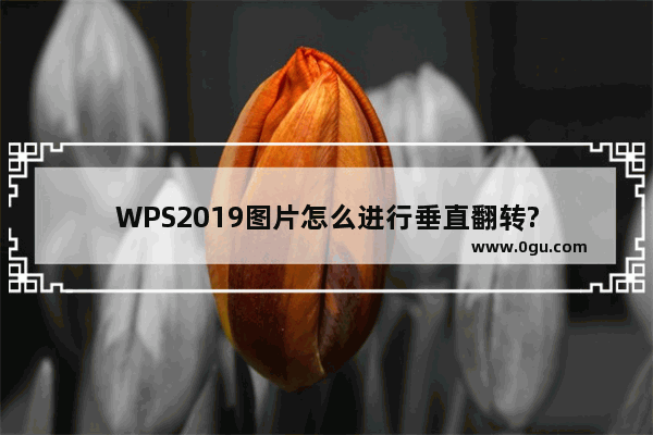 WPS2019图片怎么进行垂直翻转?