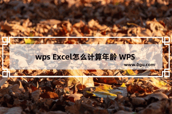 wps Excel怎么计算年龄 WPS Excel快速计算年龄的方法