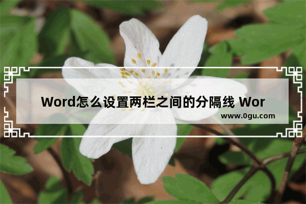 Word怎么设置两栏之间的分隔线 Word设置两栏之间的分隔线的方法