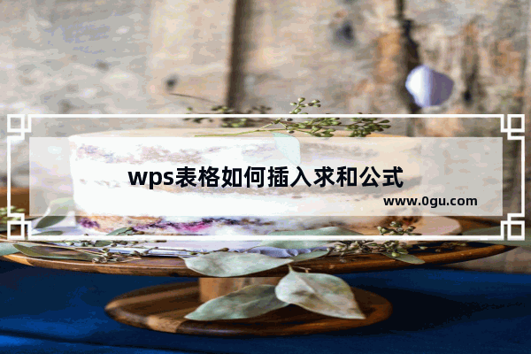 wps表格如何插入求和公式