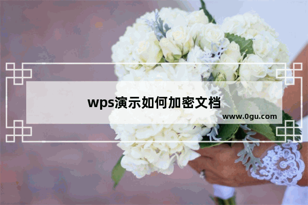 wps演示如何加密文档