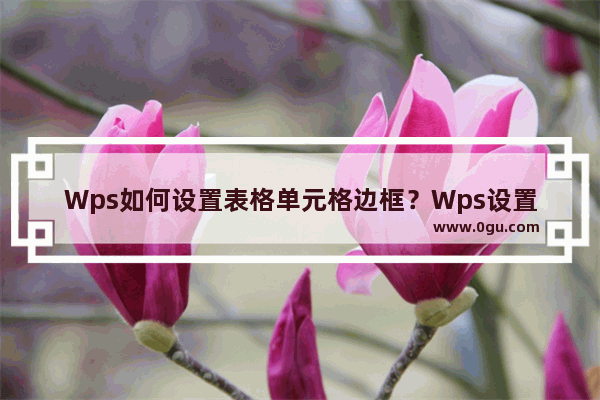 Wps如何设置表格单元格边框？Wps设置表格单元格边框的方法