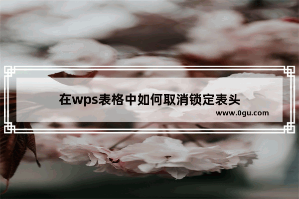 在wps表格中如何取消锁定表头