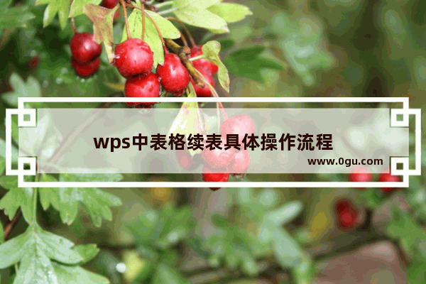 wps中表格续表具体操作流程