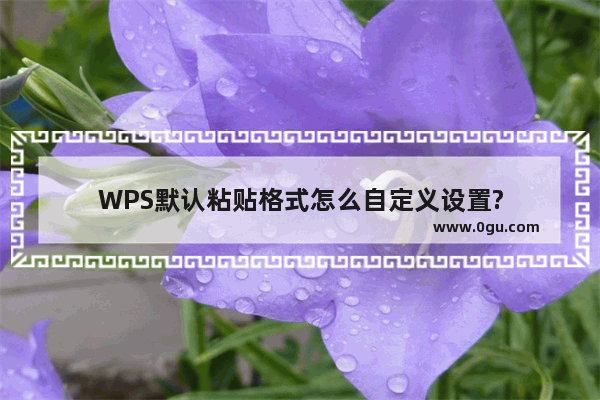 WPS默认粘贴格式怎么自定义设置?