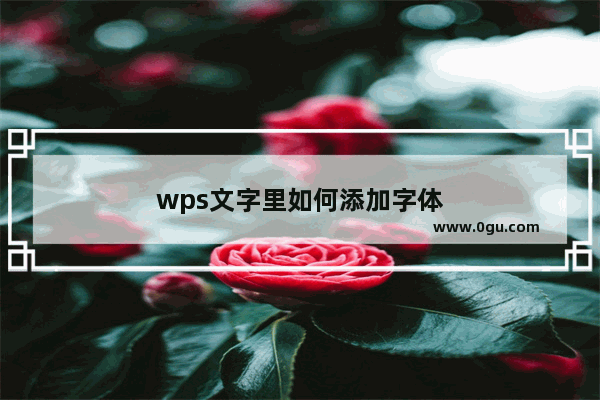 wps文字里如何添加字体