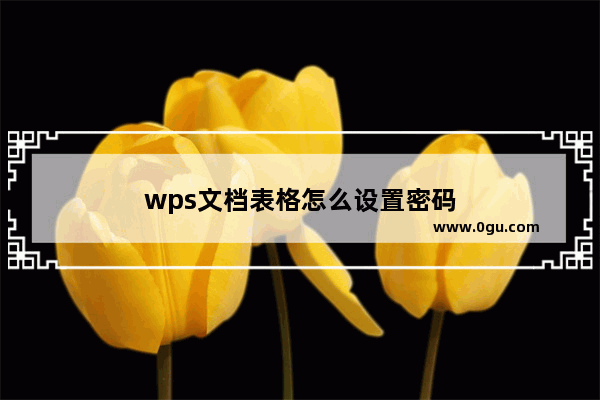 wps文档表格怎么设置密码