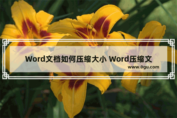 Word文档如何压缩大小 Word压缩文档大小的方法