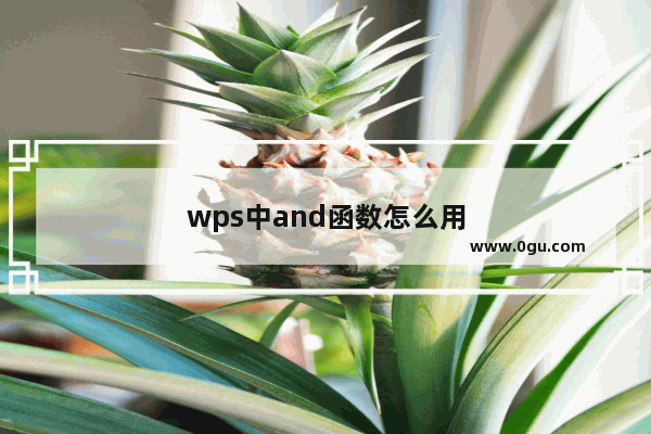 wps中and函数怎么用