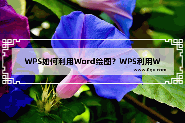 WPS如何利用Word绘图？WPS利用Word绘图的具体步骤