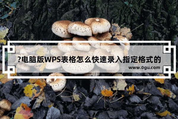 ?电脑版WPS表格怎么快速录入指定格式的当前日期