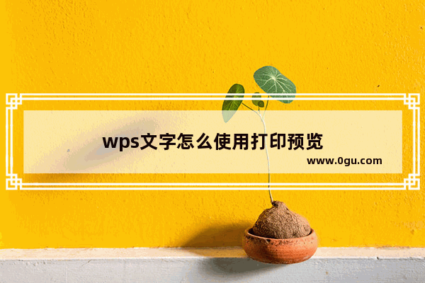 wps文字怎么使用打印预览