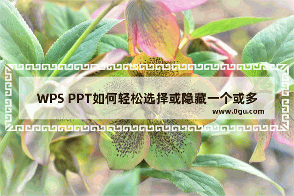 WPS PPT如何轻松选择或隐藏一个或多个特定元素