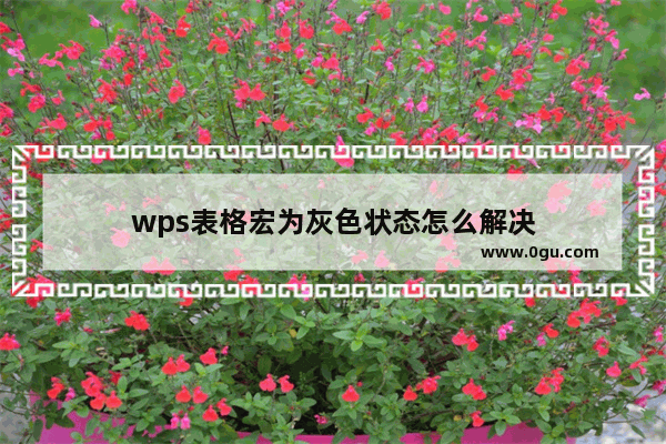 wps表格宏为灰色状态怎么解决