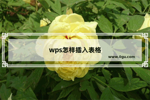 wps怎样插入表格