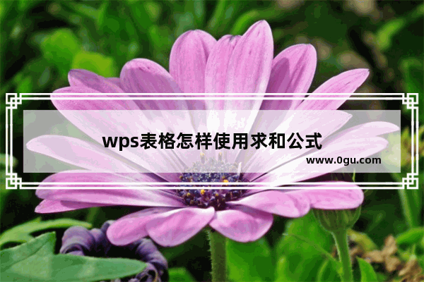 wps表格怎样使用求和公式