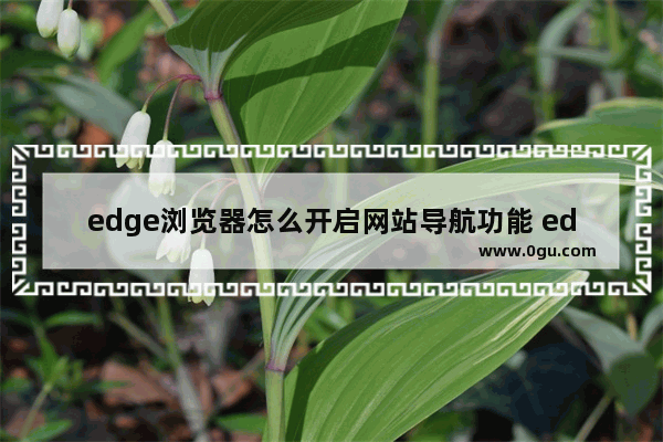 edge浏览器怎么开启网站导航功能 edge浏览器开启网站导航的方法