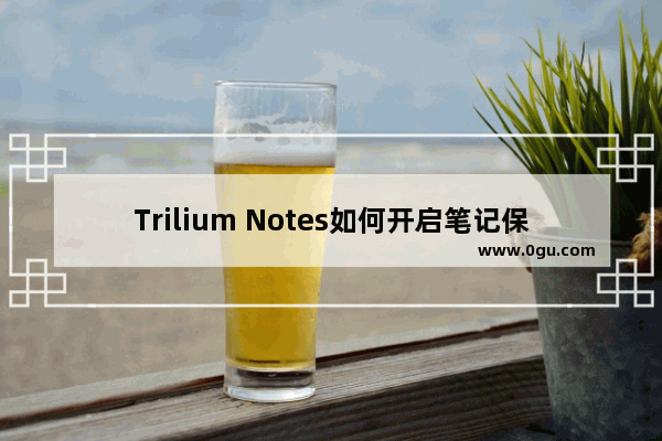 Trilium Notes如何开启笔记保护功能 Trilium Notes开启笔记保护功能的方法