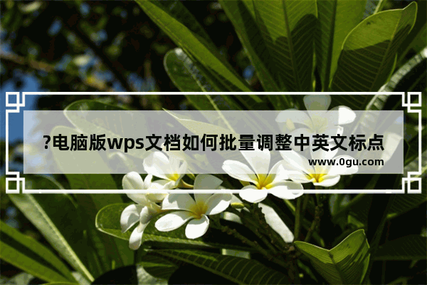 ?电脑版wps文档如何批量调整中英文标点符号